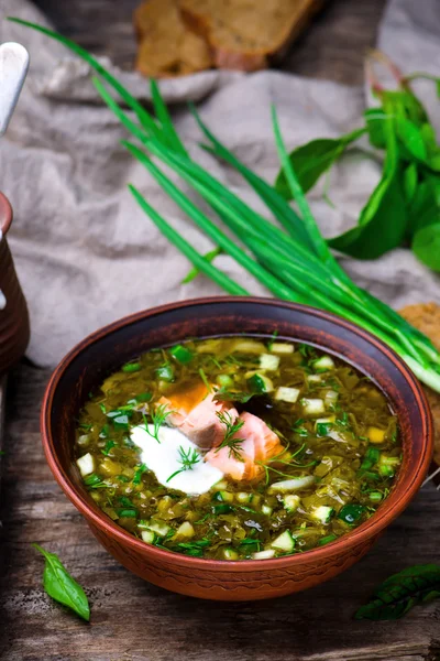 Botvinia, tradizionale zuppa fredda russa — Foto Stock