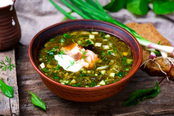 Botvinia ,traditional Russian cold soup — Stock Image Botvinia ,traditional Russian cold soup Royalty Free Stock Images