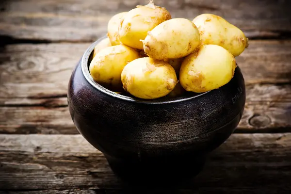 Young organic potato in a cauldron — Stock Photo, Image