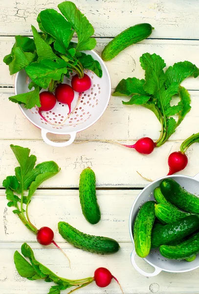 Fresh, organic garden radish and cucumbers — Stock Photo, Image