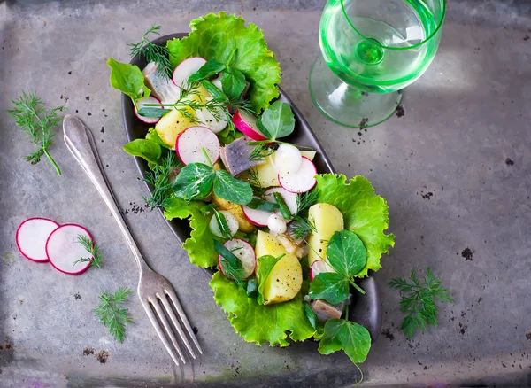 Ensalada de verano —  Fotos de Stock