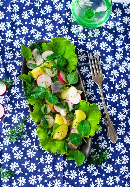 Ensalada de verano —  Fotos de Stock