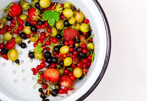 Toutes sortes de baies d'été biologiques — Photo