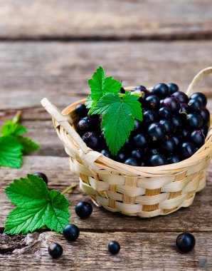 içinde taze blackcurrant basket