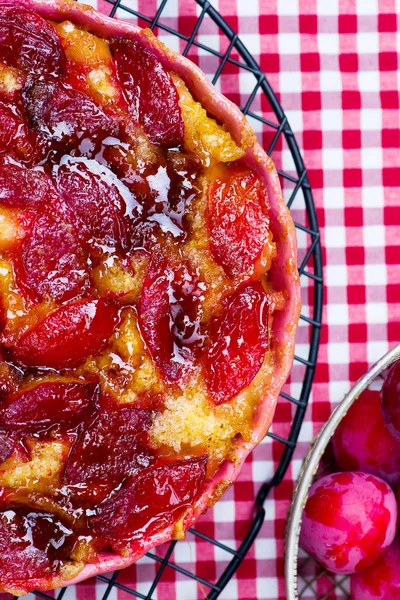 Hausgemachter Pflaumenkuchen — Stockfoto