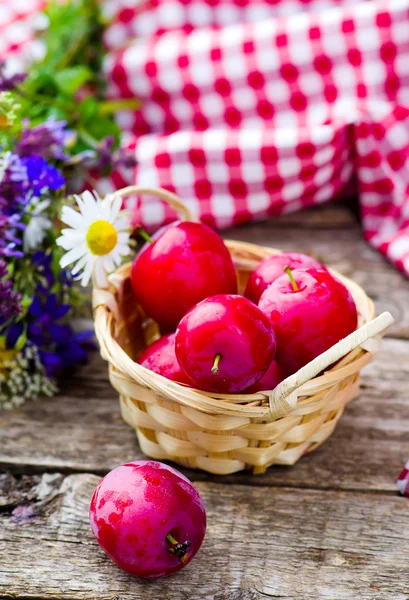 Plums — Stock Photo, Image