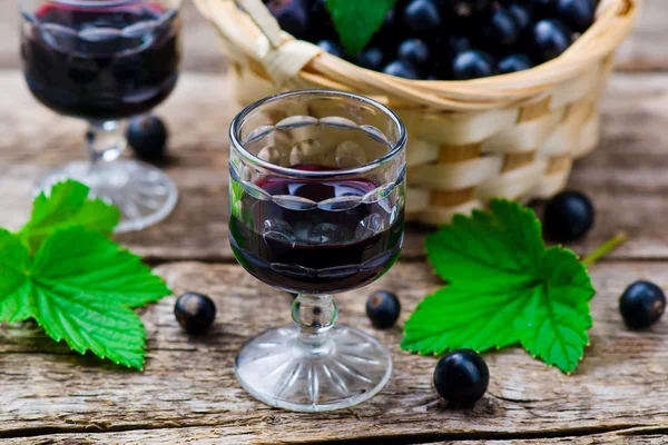 Liqueur from blackcurrant in a shot glass — Stock Photo, Image