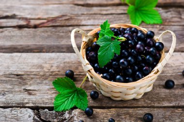 içinde taze blackcurrant basket