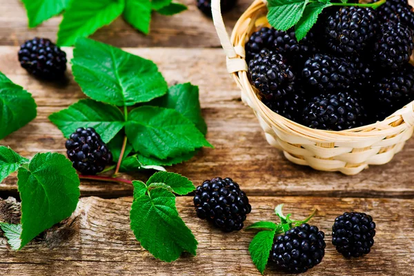 Verse blackberry in de mand — Stockfoto