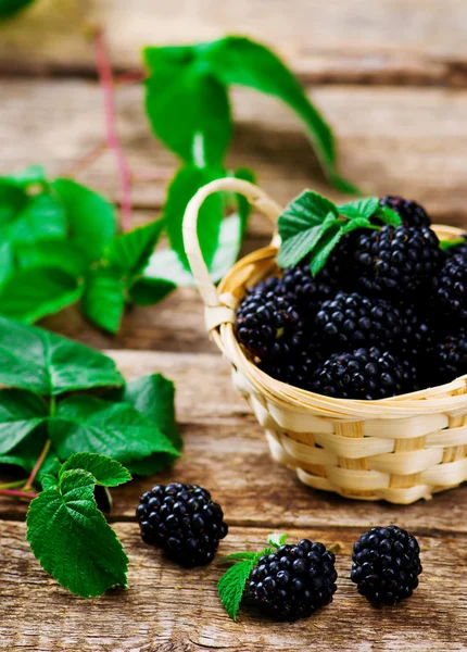 Verse blackberry in de mand — Stockfoto