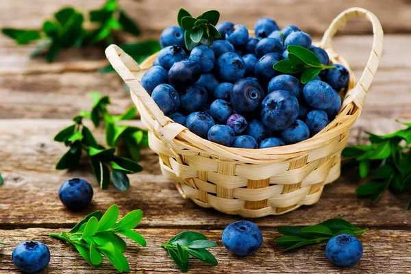 新鲜的蓝莓在篮下 — 图库照片