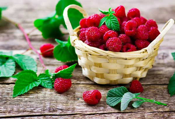 Framboise fraîche dans le panier — Photo