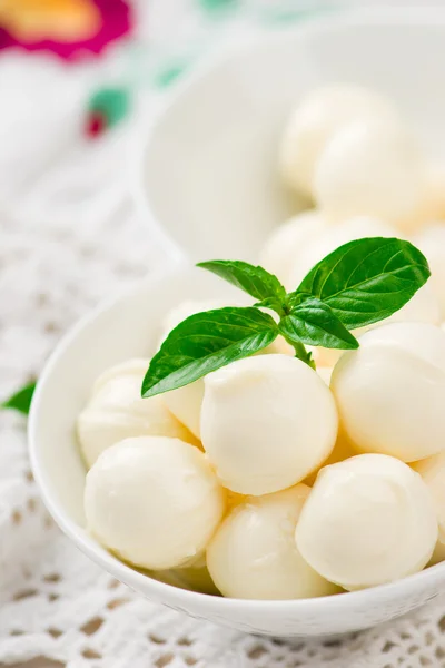 El queso fresco de la mozzarella — Foto de Stock