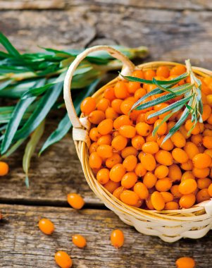 organik bir deniz topalak sepetteki meyveler