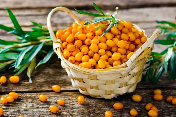 Beeren eines Bio-Sanddorns im Korb — Stockfoto