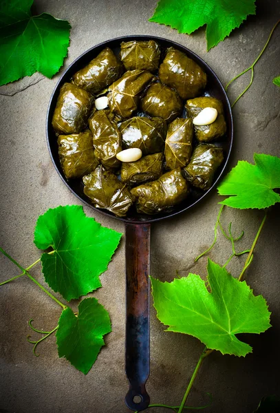 Dolma from grape leaves. — Stock Photo, Image