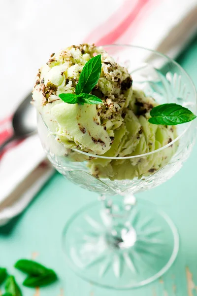 Ice cream with mint and chocolate — Stock Photo, Image