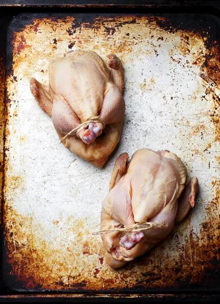 Poulet frais et brut de ferme — Photo