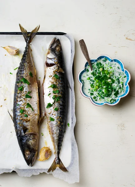 Makreel - een grill met saus — Stockfoto