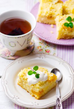 darı ve kurutulmuş kayısı puding 