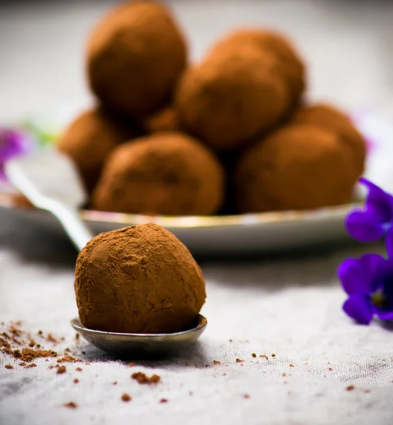 Trufas de chocolate caseras — Foto de Stock