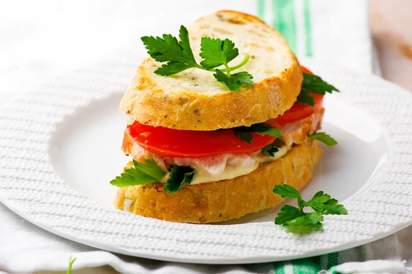 Sandwich con pollo e verdure — Foto Stock