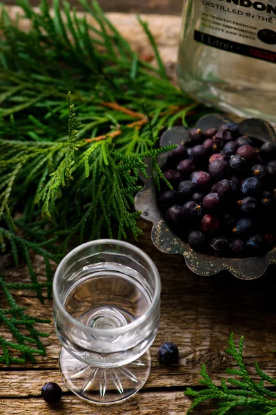 Cam vurdu bir bardak cin — Stok fotoğraf