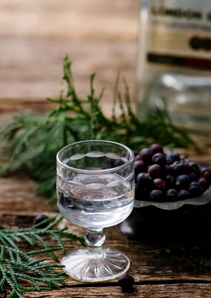 Gin w kieliszku kieliszek — Zdjęcie stockowe