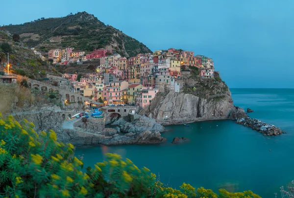 Manarola è uno dei borghi più antichi e belli delle Cinque Terre — Foto Stock