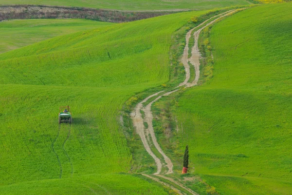 Rolling Hills в Тоскане, Италия — стоковое фото