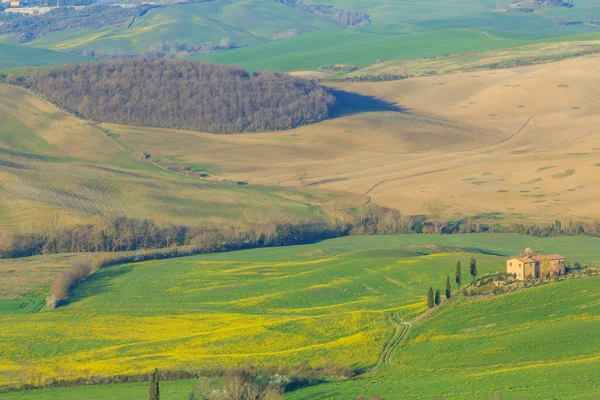 Glooiende heuvels in Toscane, Italië — Stockfoto