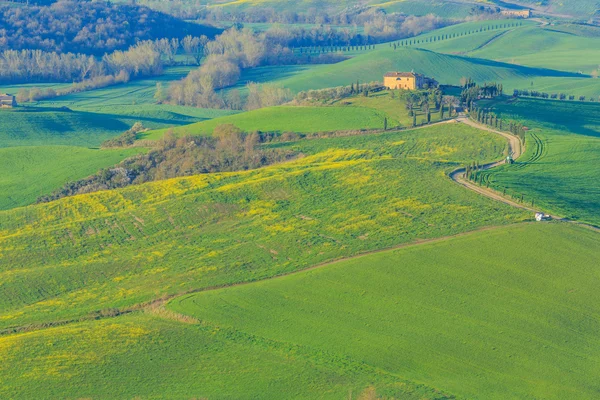 Горбисті в Тоскані, Італія — стокове фото