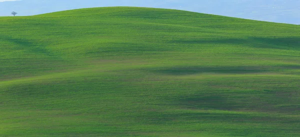 Rolling Hills in Tuscany, Italy — Stock Photo, Image