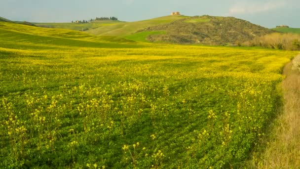 Uitzicht op de glooiende heuvels van Toscane, Italië — Stockvideo
