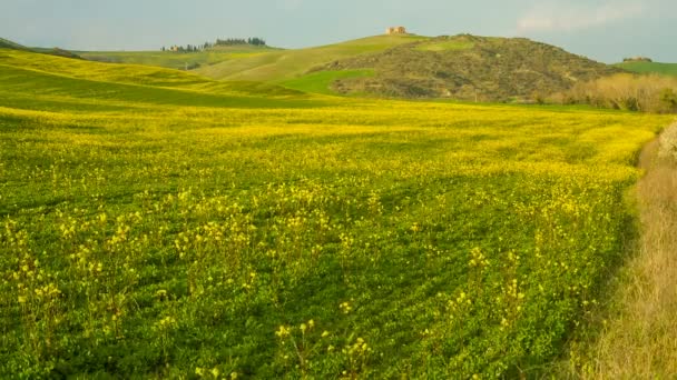 Utsikt över de böljande kullarna i Toscana, Italien — Stockvideo