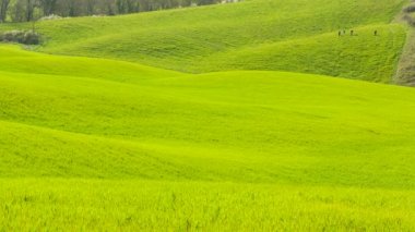 Toskana, İtalya tepeler görünümünü