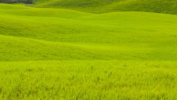 Uitzicht op de glooiende heuvels van Toscane, Italië — Stockvideo