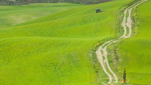 Widok na wzgórza Toskanii, Włochy — Wideo stockowe