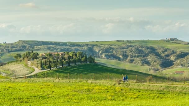 Familjen promenader med hunden i de vackra kullarna i Toscana, Italien — Stockvideo