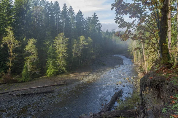 Uitzicht Rivier Met Lichte Mist Bij Olympic National Park Verenigde — Stockfoto