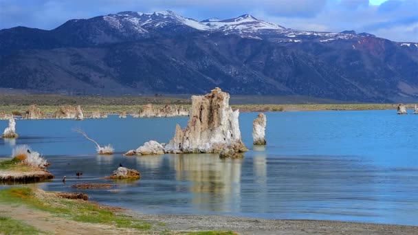 Tuff Rock Formatie Mono Lake Verenigde Staten — Stockvideo