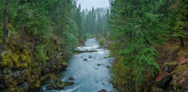 Union Creek yakınlarındaki Rogue River Gorge ve Crater Lake, Oregon, ABD