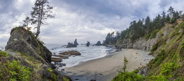 Shi Shi Strand Olympischer Nationalpark Vereinigte Staaten — Stockfoto