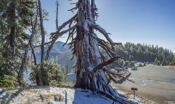 アメリカ合衆国オレゴン州クレーターレイク国立公園での季節の最初の雪 — ストック写真