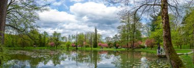 Eski parkta, genç insanlar harika bir gölet manzarasına hayran kalır ve tadını çıkarırlar..