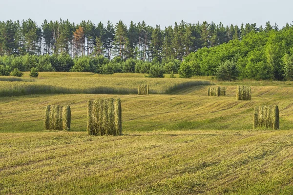밭에서 트랙터가 풀에서 수확을 — 스톡 사진