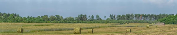 밭에서 트랙터가 풀에서 수확을 — 스톡 사진