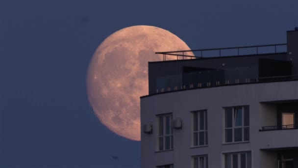 Місяць Рухається Нічному Небу — стокове відео