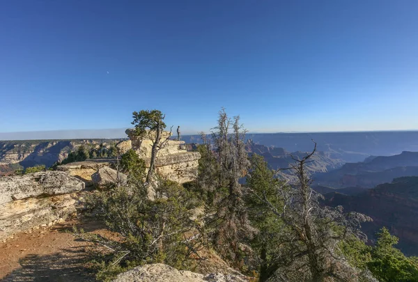 North Rim Grand Canyon National Park Usa — Stock Photo, Image