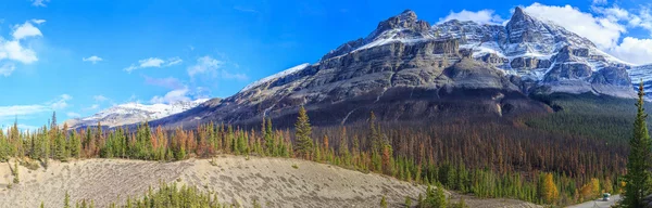 Luonto Kanada — kuvapankkivalokuva